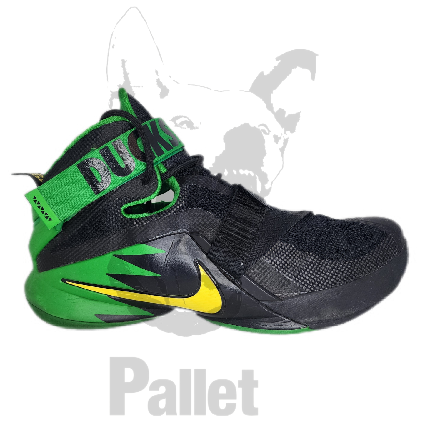 Lebron -" Soldier IX Ducks PE"-