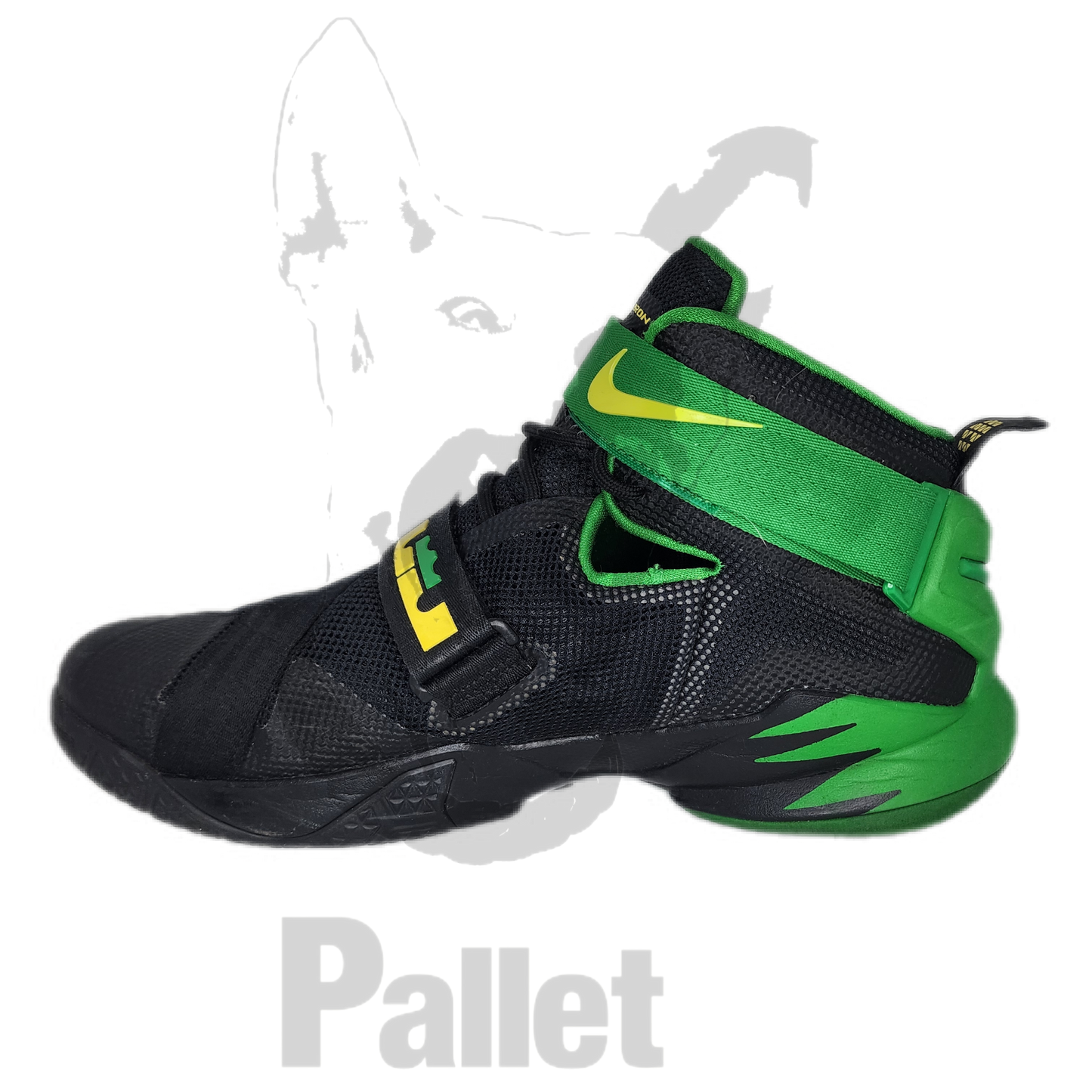 Lebron -" Soldier IX Ducks PE"-