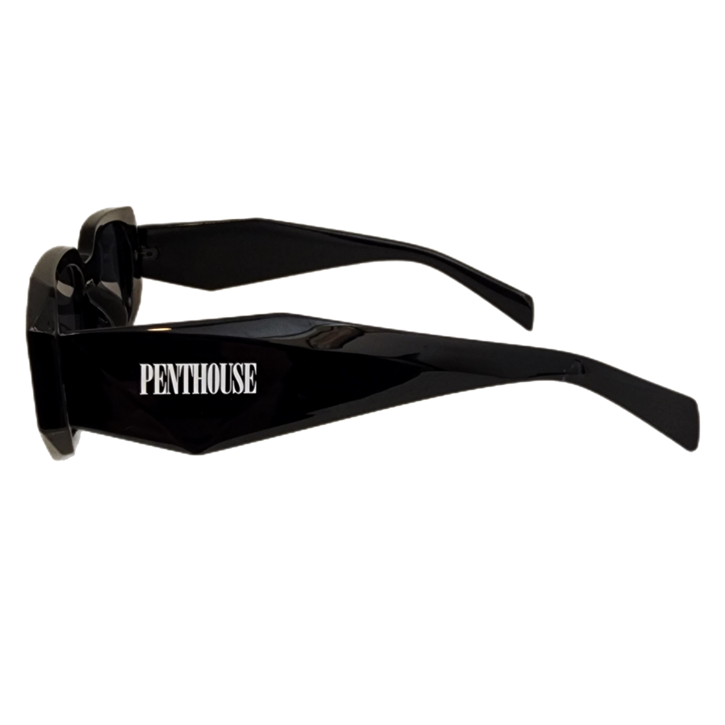 Penthouse Seattle Sunglasses